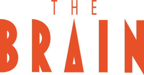 The Brain