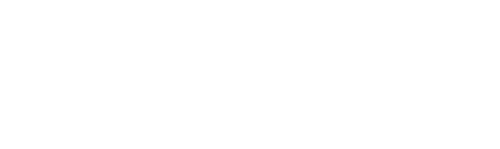 The Reluctant Fundamentalist