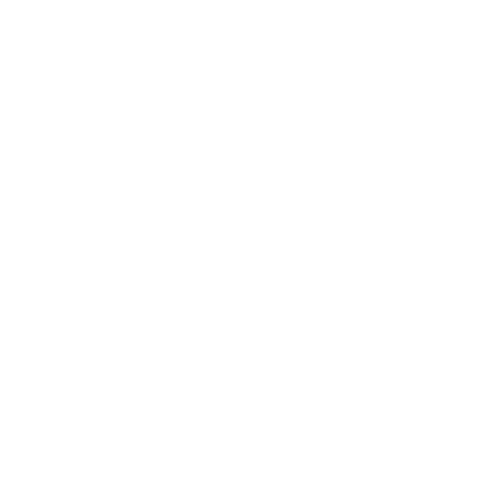 99 Songs