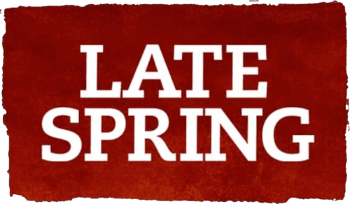 Late Spring