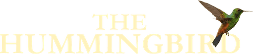 The Hummingbird