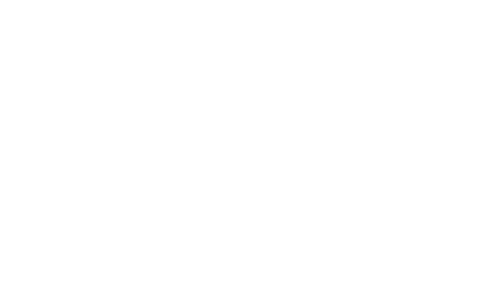 The Sparks Brothers