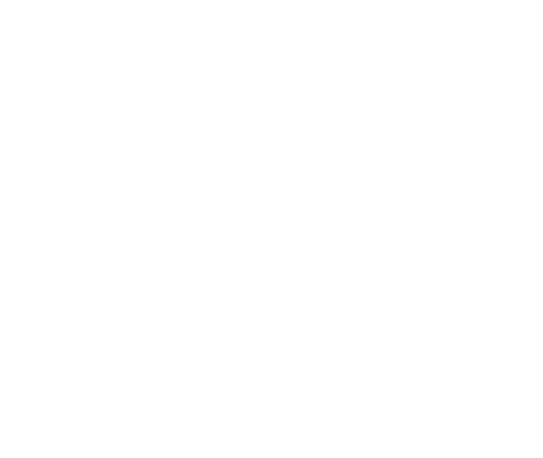 Soul on Fire