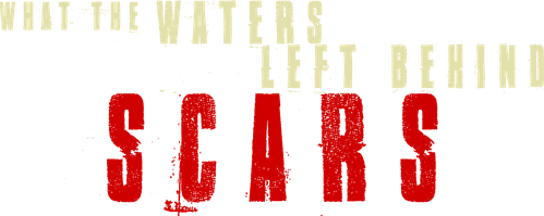 What the Waters Left Behind: Scars