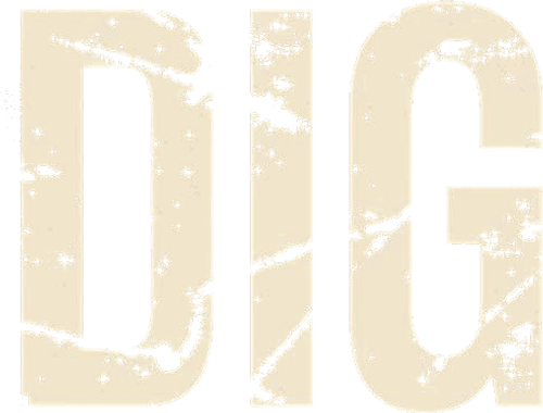 Dig
