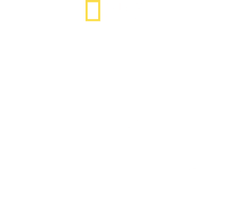 Shark vs. Surfer