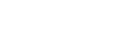 The Remarkable Life of Ibelin