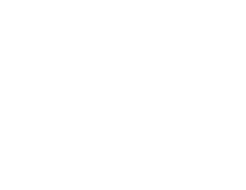 The Escape of the Seven