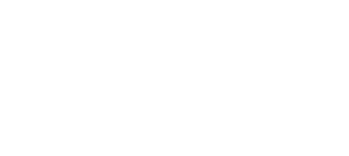 My Best Friend's Wedding Planner