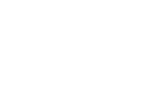 Nurse on Wheels
