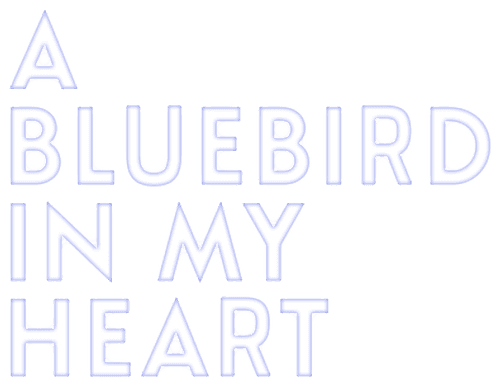 A Bluebird in My Heart