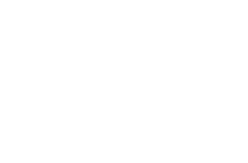 The Crow Girl