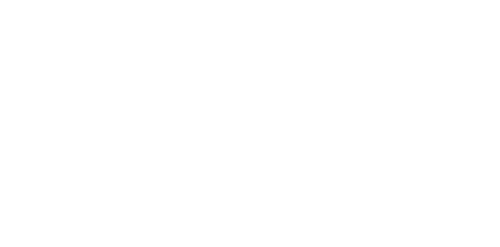 The Man Behind The Gun