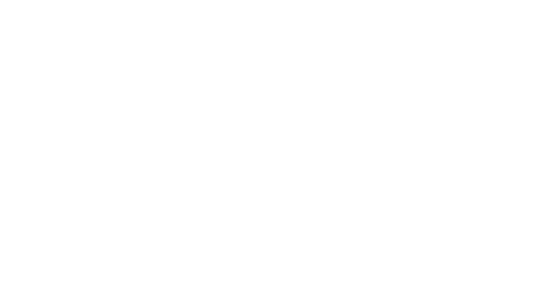 The Hero