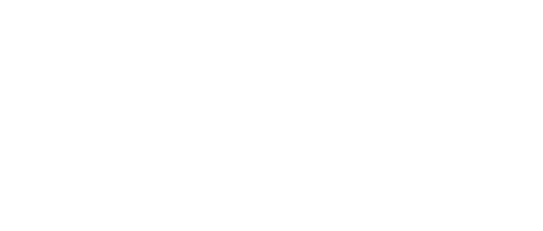 The Travelling Cat Chronicles