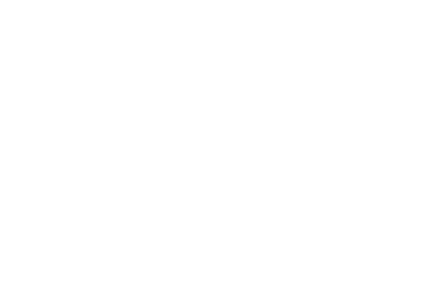 Empire Skate
