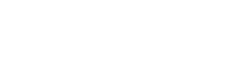 The Thing with Feathers