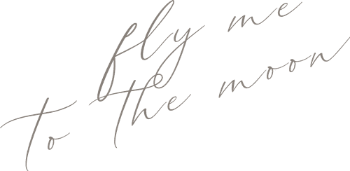 Fly Me to the Moon
