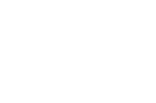 Too Many Thieves