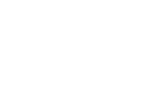 Central Station